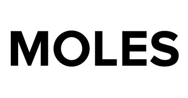 Logo Salon Moles