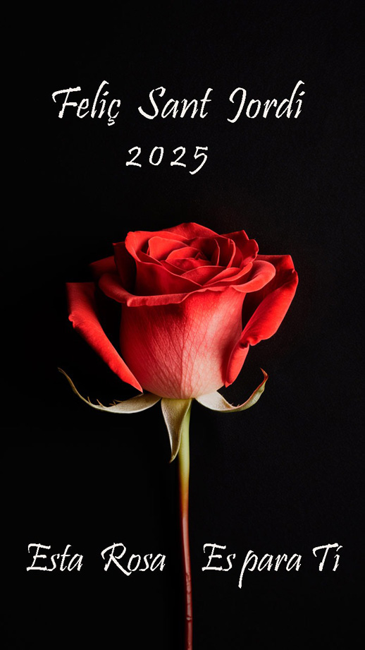 Sant Jordi AAVV collblanc la Torrassa Sant Jordi AAVV Collblanc la Torrassa